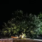 Vento Di Scirocco Bed & Breakfast Favara