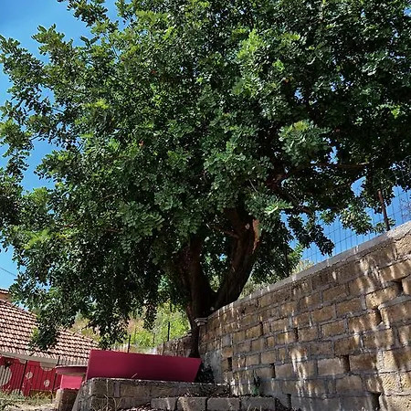 Vento Di Scirocco Oda ve Kahvaltı 3*
