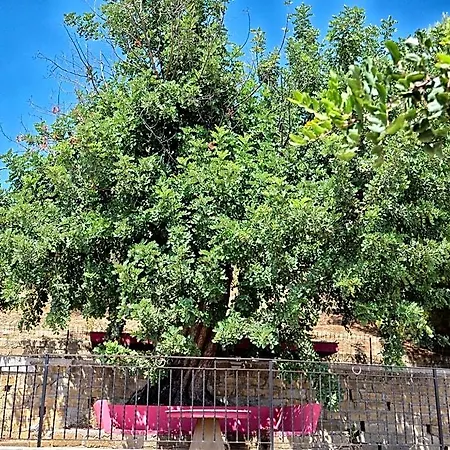 Vento Di Scirocco 3*