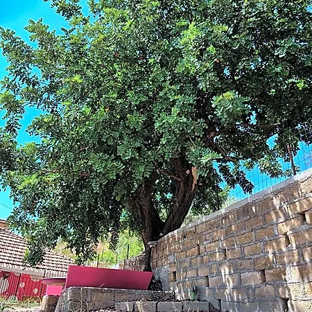 B&B Vento Di Scirocco Bed & Breakfast Favara