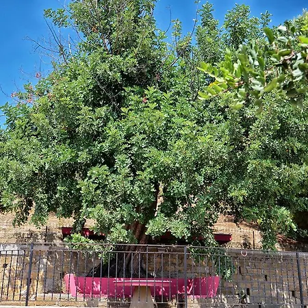 B&B Vento Di Scirocco 3* Favara