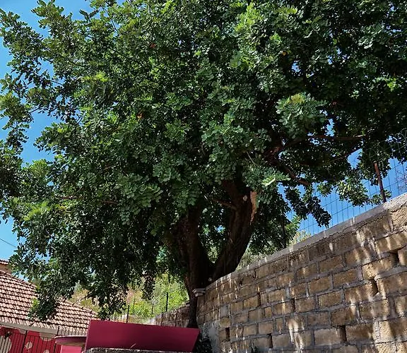 Vento Di Scirocco Oda ve Kahvaltı 3*